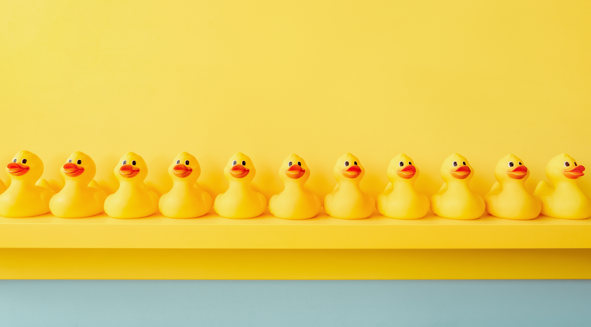 Rubber ducks are arranged in an order