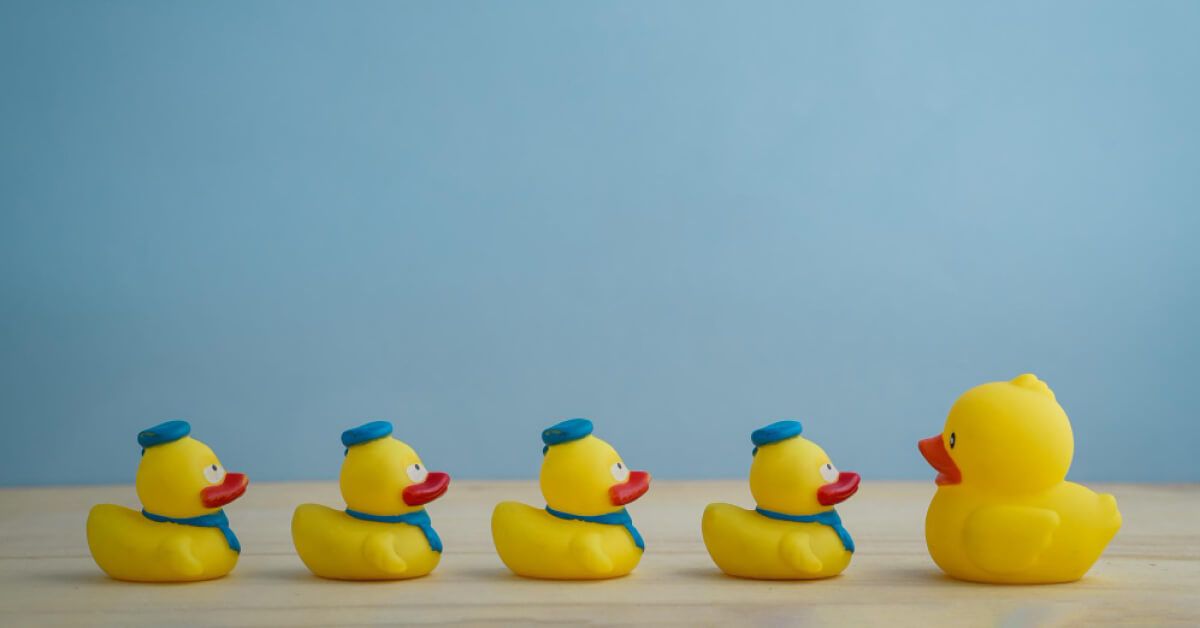 Rubber ducks in a line