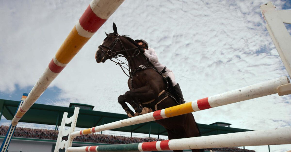 A horse jumping