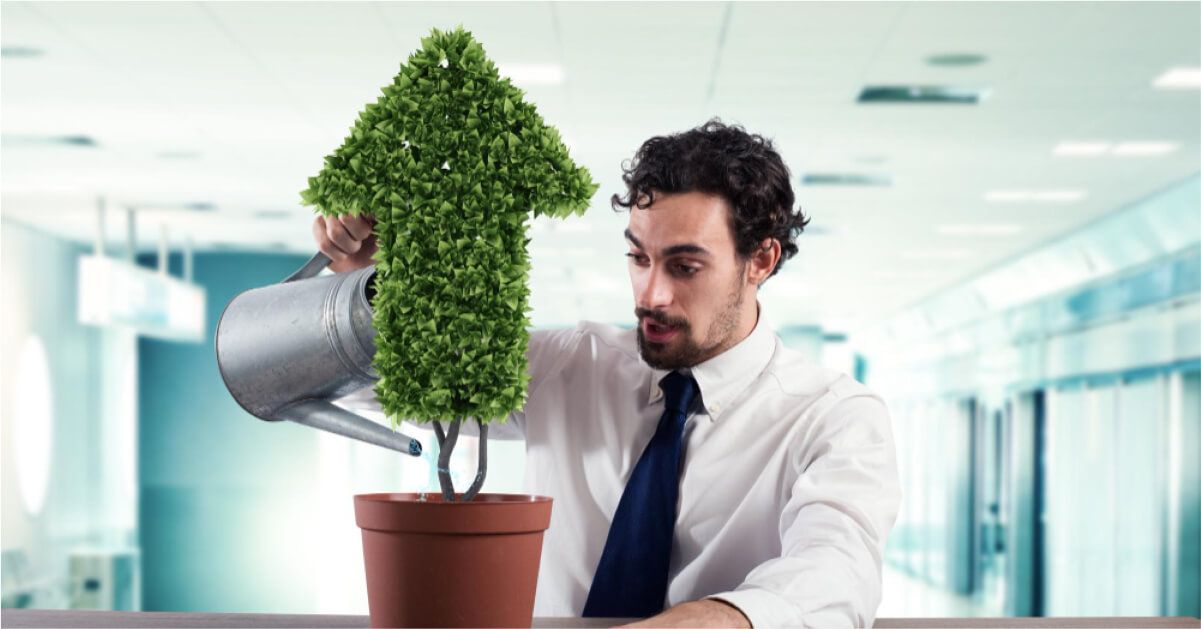 Person watering a potted plant that is shaped like an upward arrow