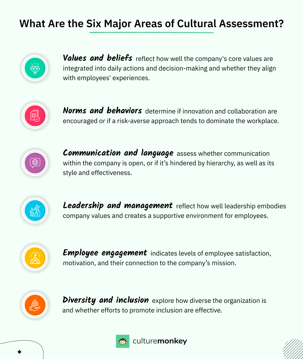 What are the six major areas of cultural assessment?