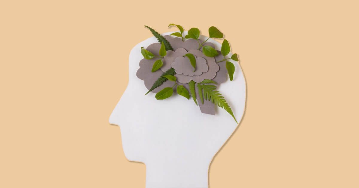 Paper cutout of a human head with leaves sticking out of the brain