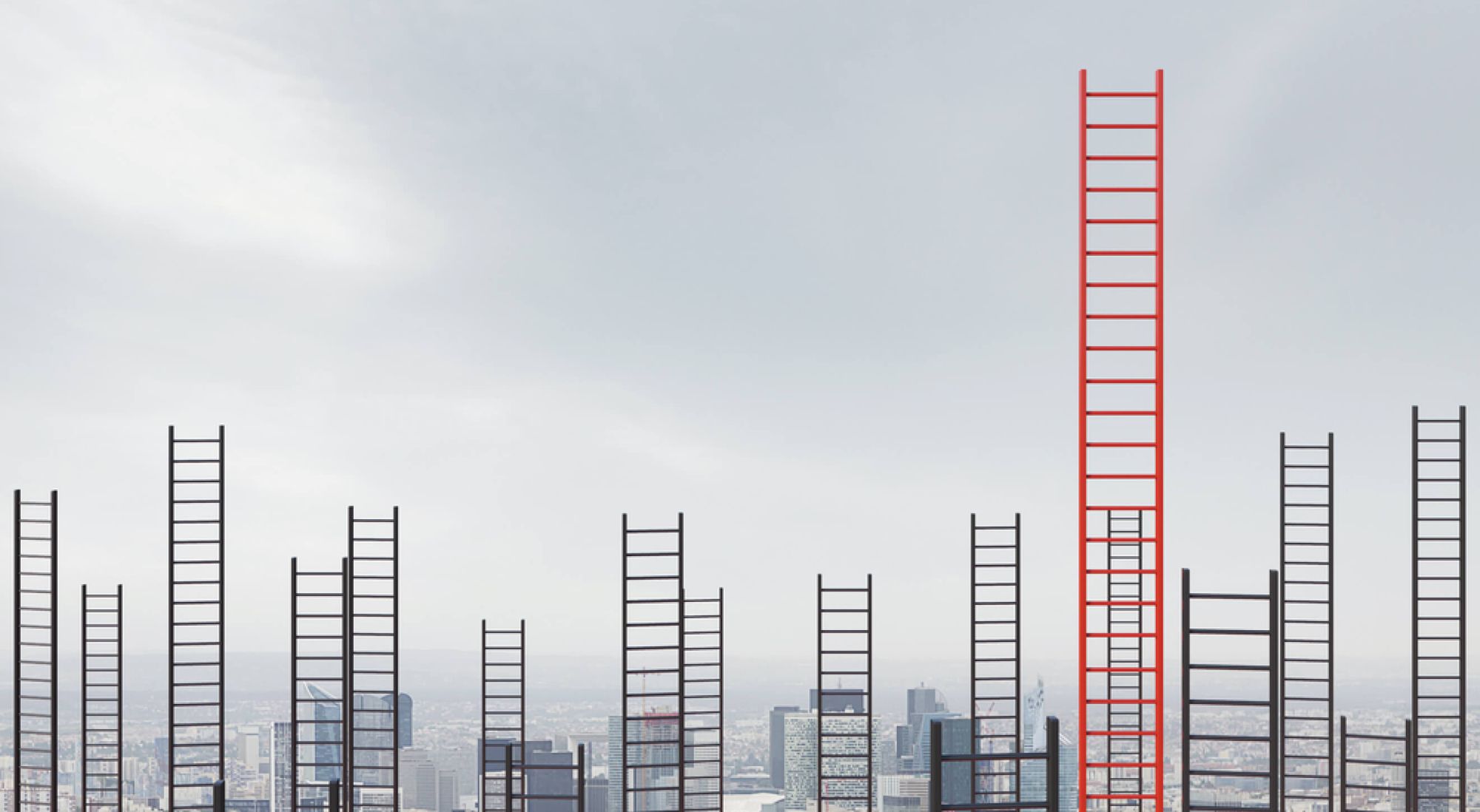 15+ Career development programs that help employees climb the ladder