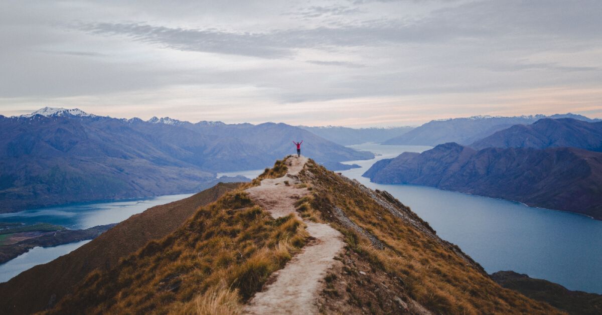 15+ Career development programs that help employees climb the ladder